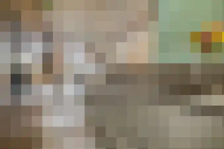Enkalaan 11 Ede thumbnail 18