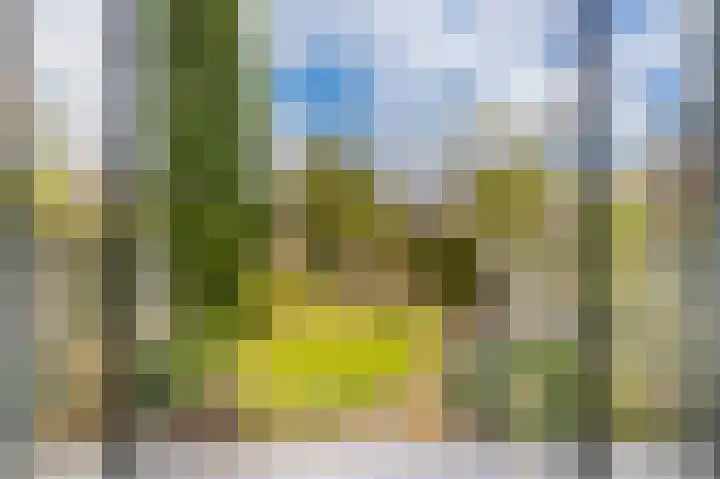 Enkalaan 11 Ede thumbnail 37