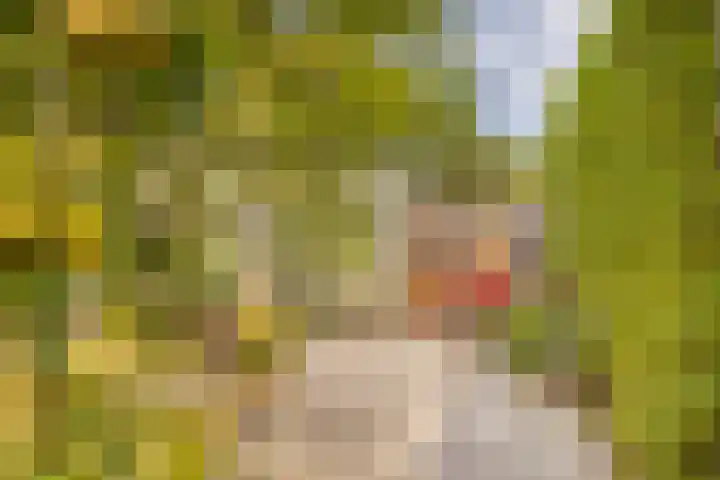 Enkalaan 11 Ede thumbnail 38