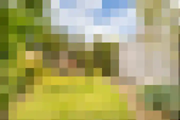 Enkalaan 11 Ede thumbnail 39