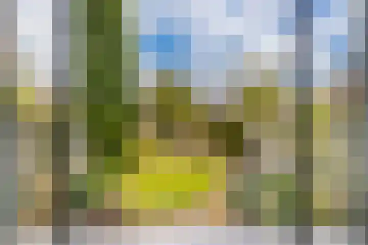 Enkalaan 11 Ede thumbnail 4