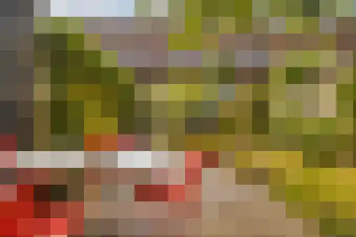 Enkalaan 11 Ede thumbnail 40