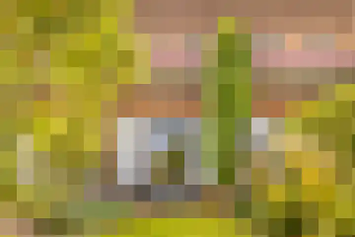 Enkalaan 11 Ede thumbnail 41