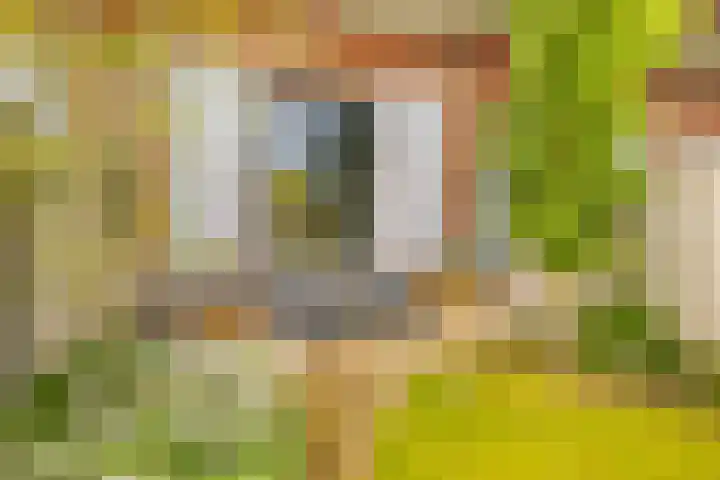 Enkalaan 11 Ede thumbnail 42