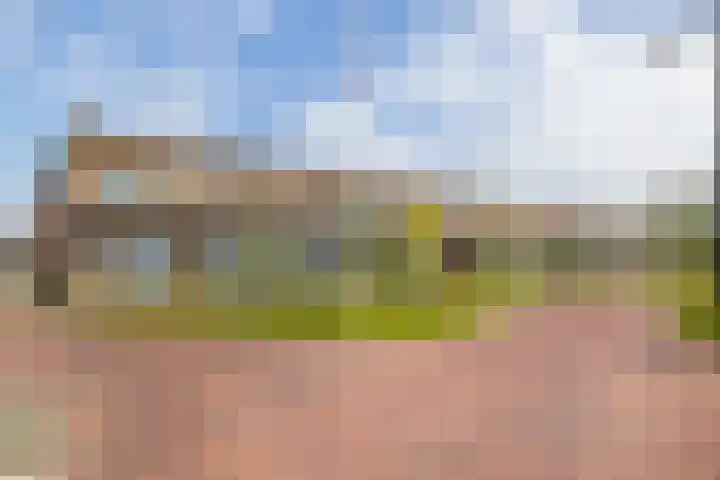 Enkalaan 11 Ede thumbnail 44