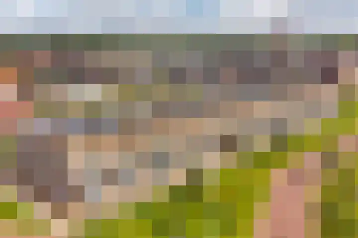 Enkalaan 11 Ede thumbnail 45
