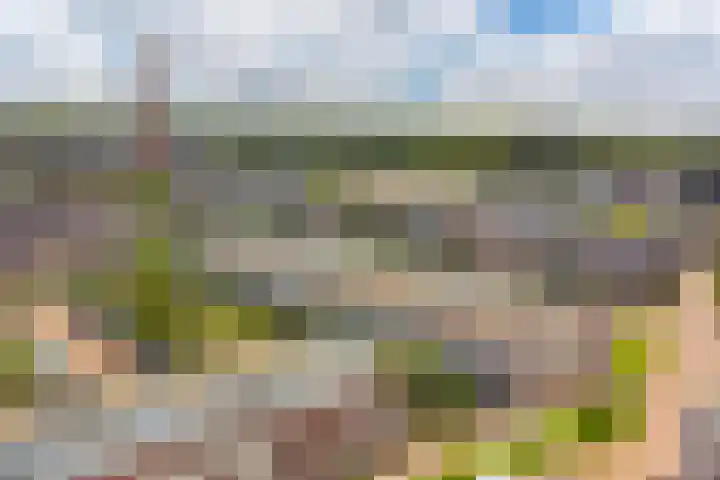 Enkalaan 11 Ede thumbnail 46