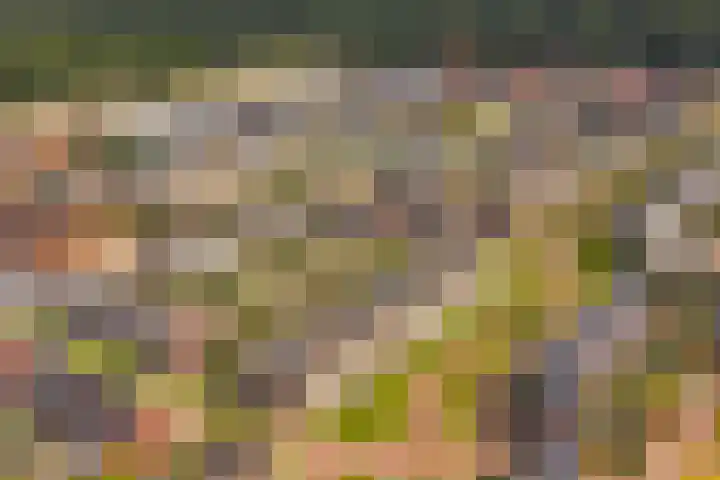 Enkalaan 11 Ede thumbnail 47