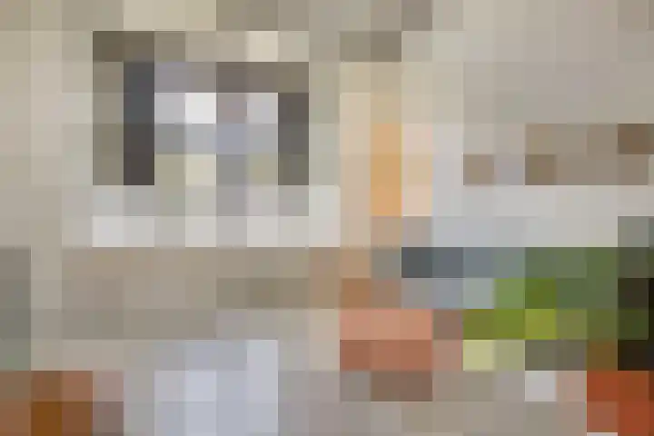 Enkalaan 11 Ede thumbnail 8