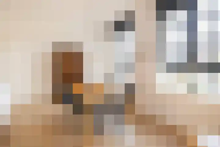 Enkalaan 113 Ede thumbnail 19