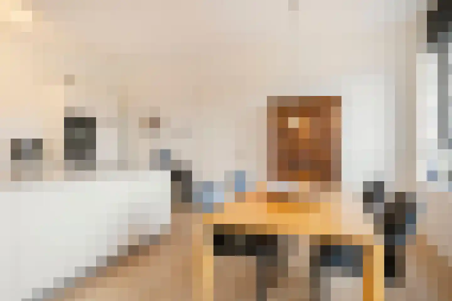 Enkalaan 113 Ede thumbnail 20