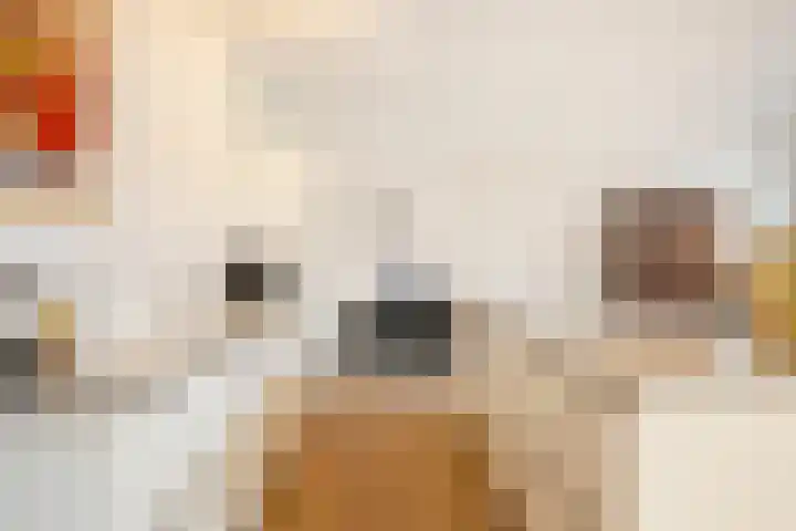 Enkalaan 113 Ede thumbnail 21