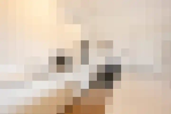 Enkalaan 113 Ede thumbnail 26
