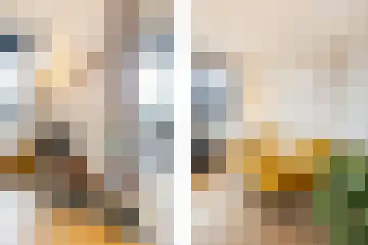 Enkalaan 113 Ede thumbnail 38
