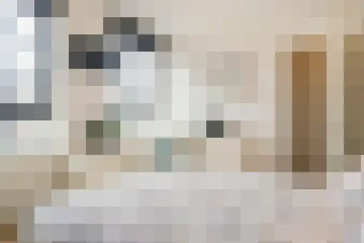 Enkalaan 113 Ede thumbnail 43
