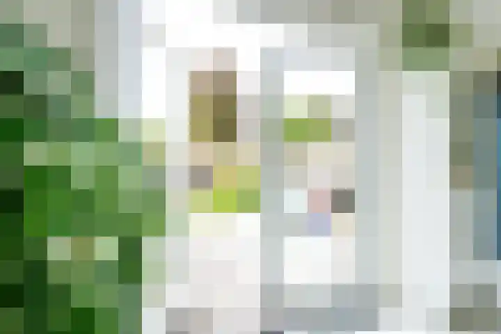 Enkalaan 113 Ede thumbnail 6