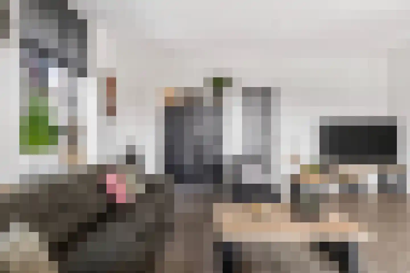 Enkalaan 115 Ede thumbnail 10