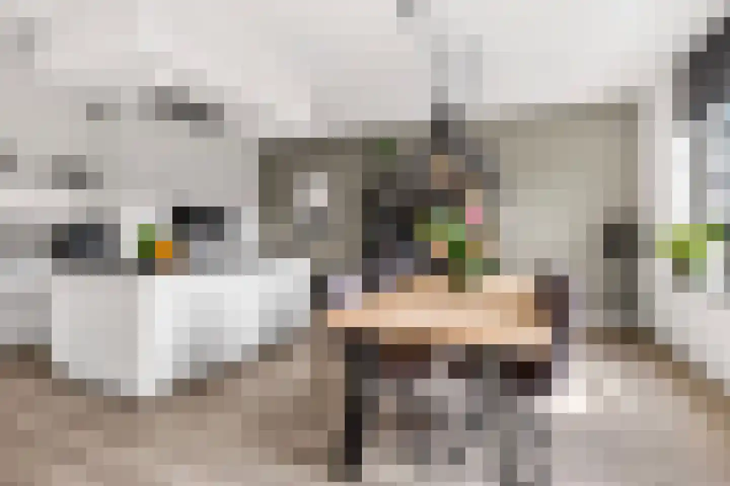 Enkalaan 115 Ede thumbnail 14