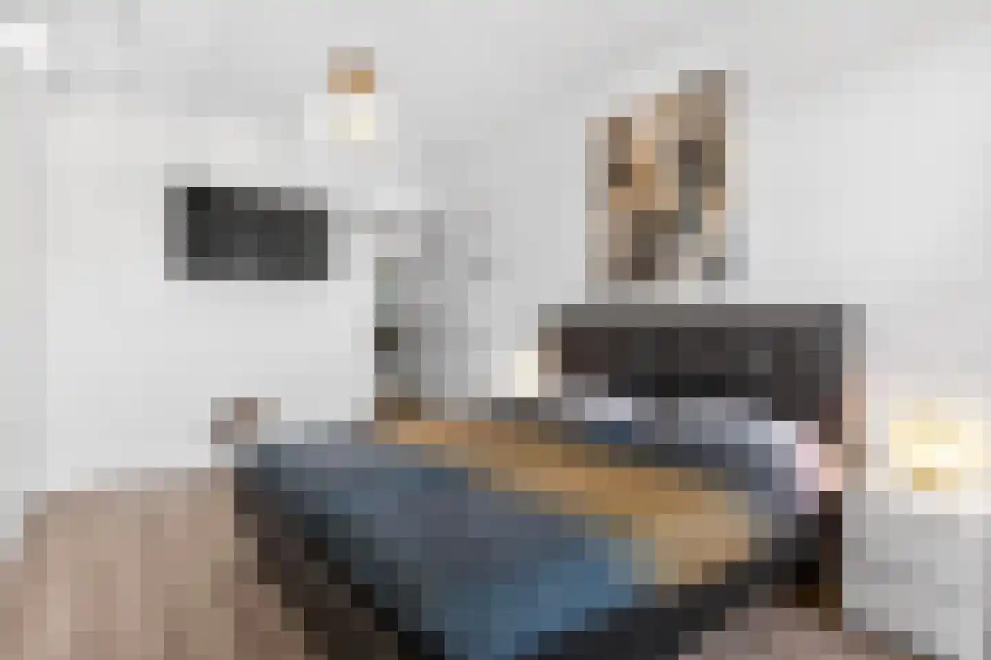 Enkalaan 115 Ede thumbnail 18