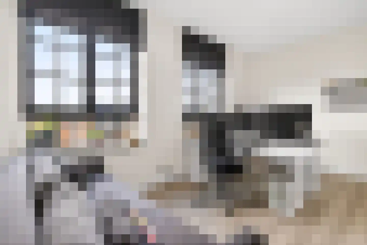Enkalaan 115 Ede thumbnail 19