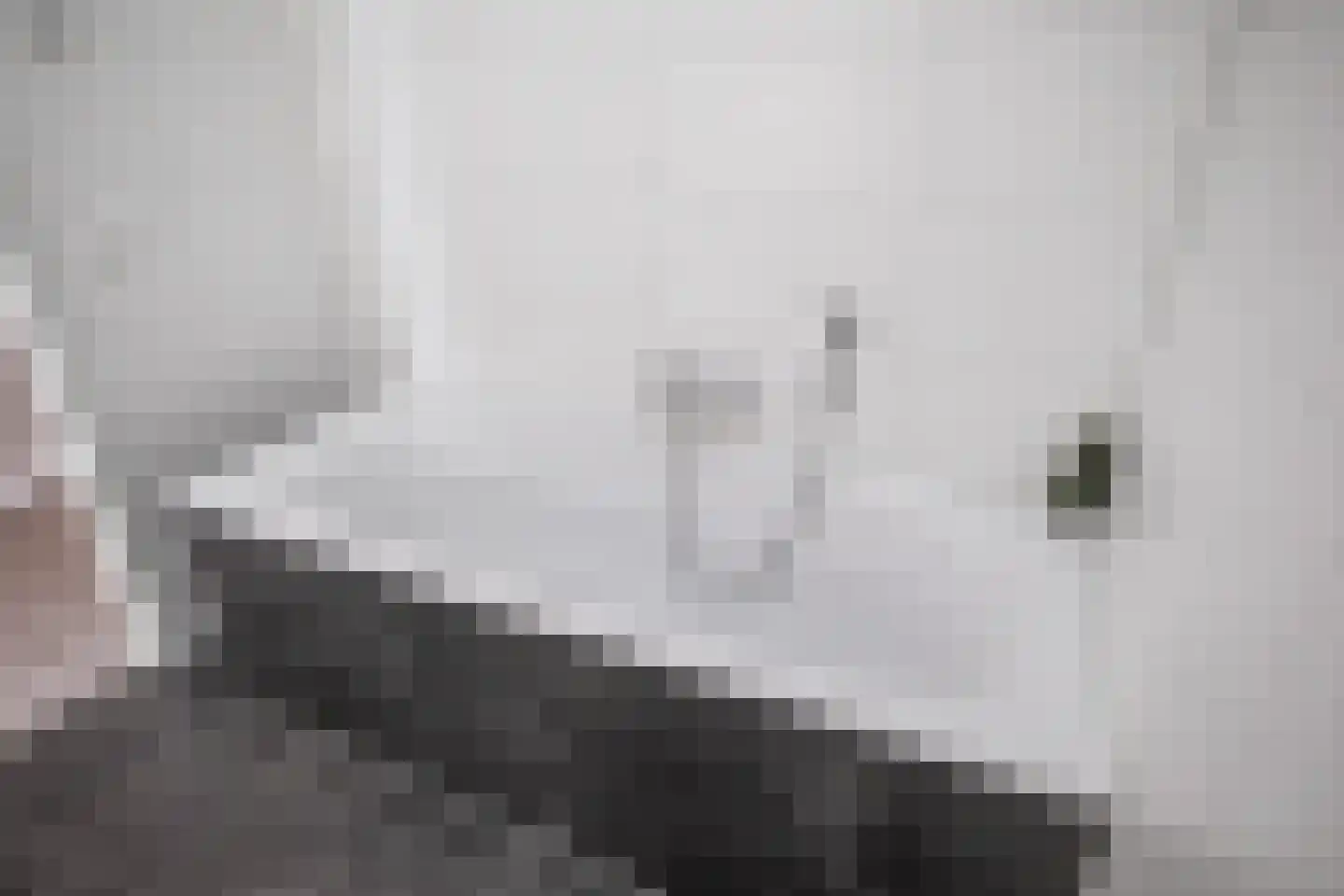 Enkalaan 115 Ede thumbnail 25