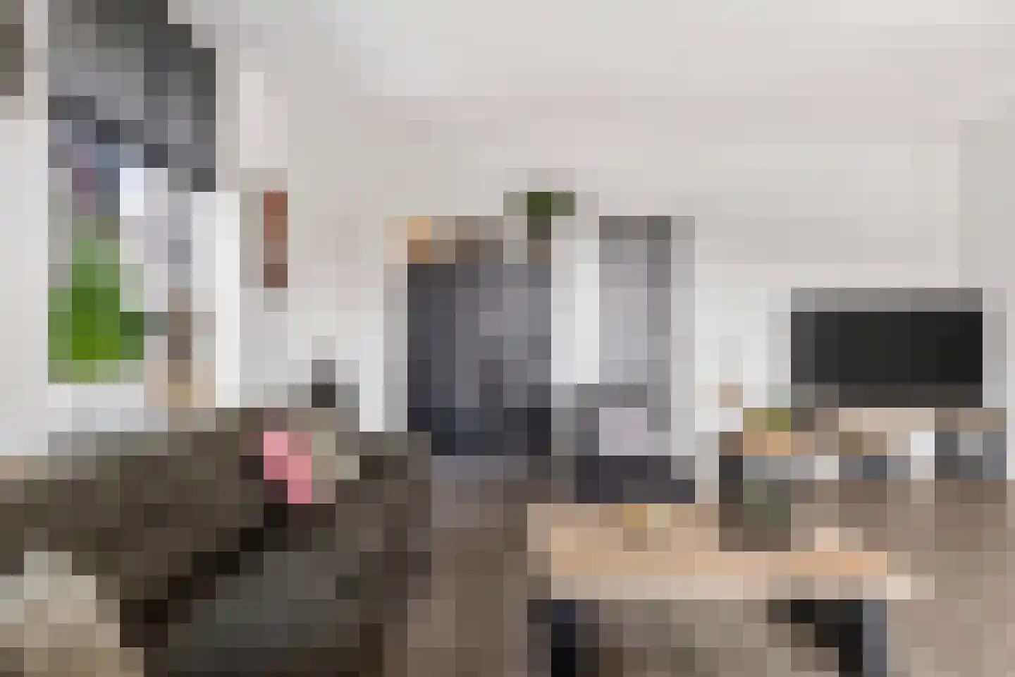 Enkalaan 115 Ede thumbnail 6