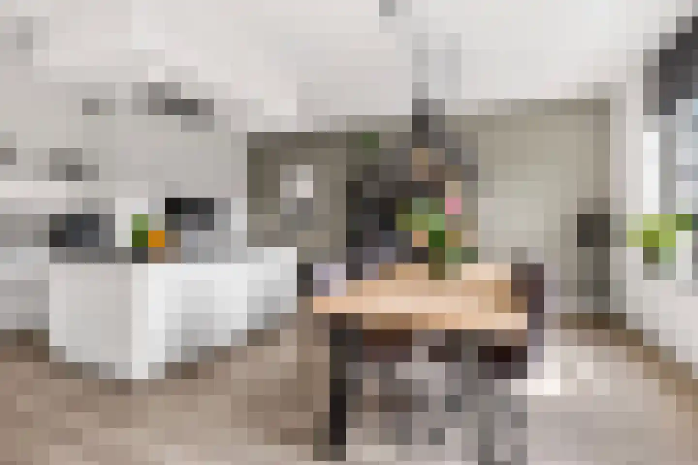 Enkalaan 115 Ede thumbnail 7