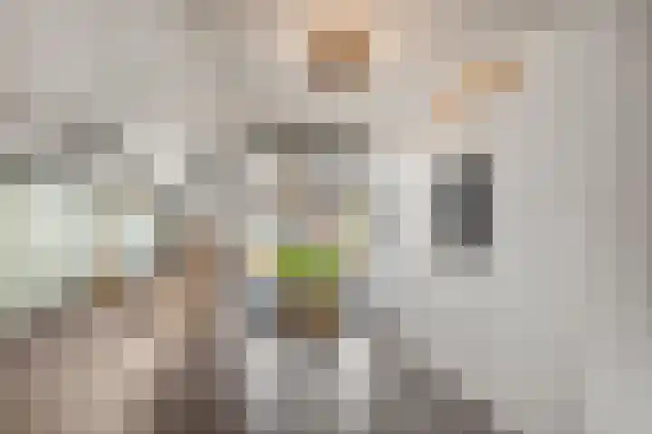 Enkalaan 126 Ede thumbnail 12