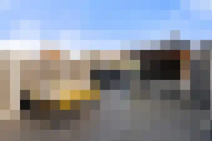 Enkalaan 126 Ede thumbnail 28
