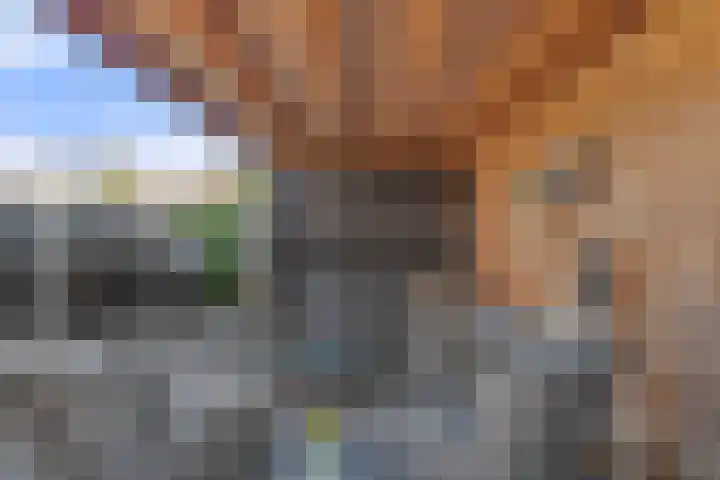 Enkalaan 126 Ede thumbnail 31