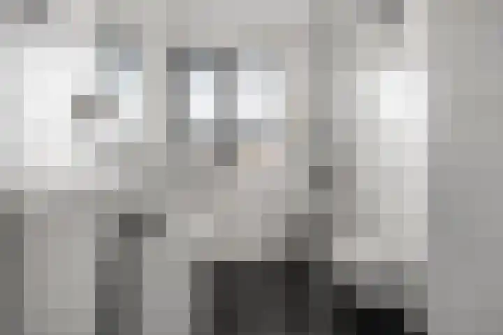 Enkalaan 135 Ede thumbnail 16