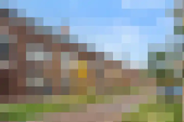 Enkalaan 135 Ede thumbnail 27