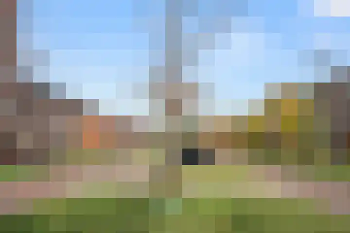 Enkalaan 135 Ede thumbnail 28