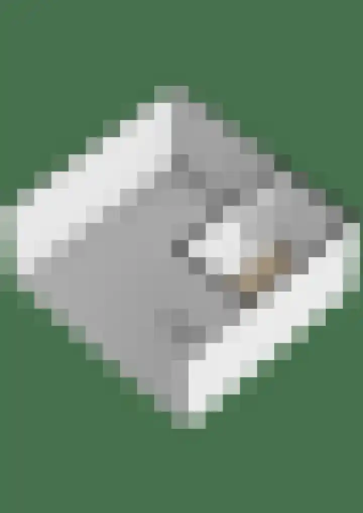 Enkalaan 135 Ede thumbnail 33