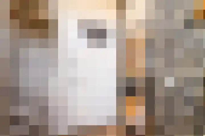 Enkalaan 155 Ede thumbnail 18