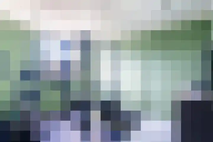 Enkalaan 155 Ede thumbnail 37