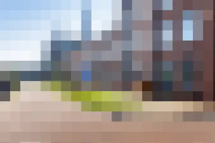 Enkalaan 155 Ede thumbnail 46
