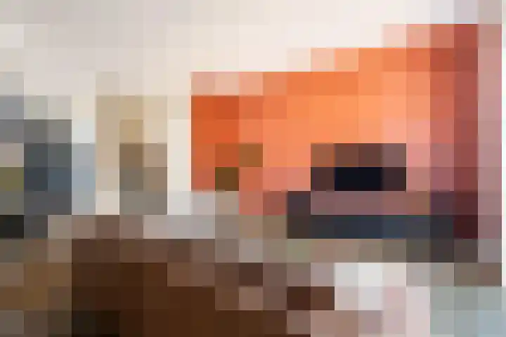 Enkalaan 155 Ede thumbnail 7