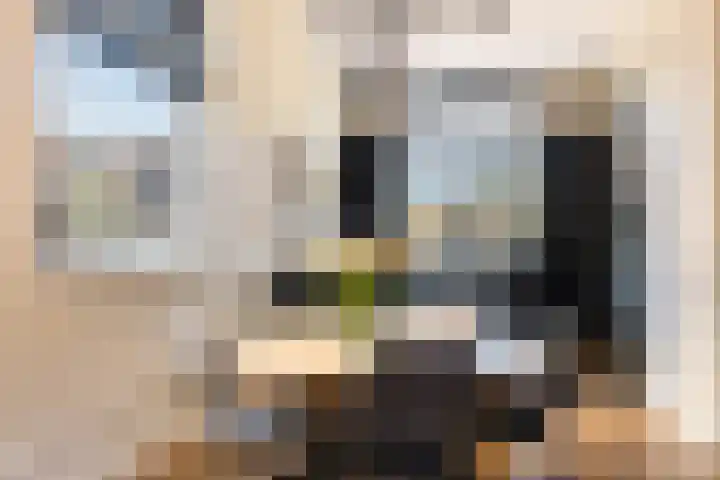 Enkalaan 155 Ede thumbnail 9