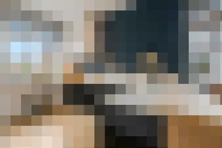 Enkalaan 157 Ede thumbnail 11
