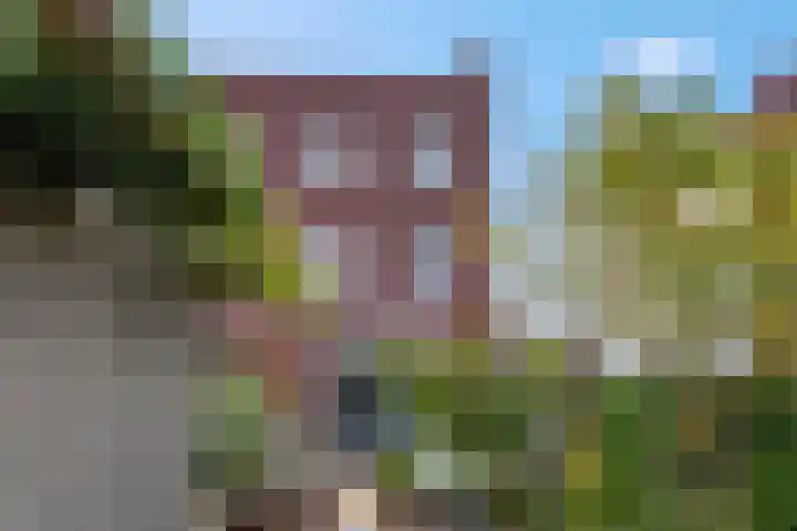Enkalaan 157 Ede thumbnail 16