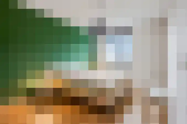 Enkalaan 157 Ede thumbnail 22