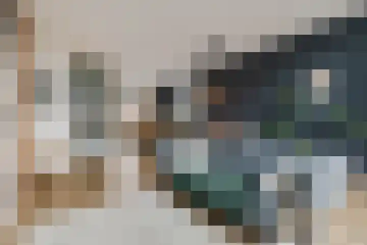 Enkalaan 157 Ede thumbnail 4