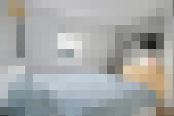 Enkalaan 47 Ede thumbnail 15