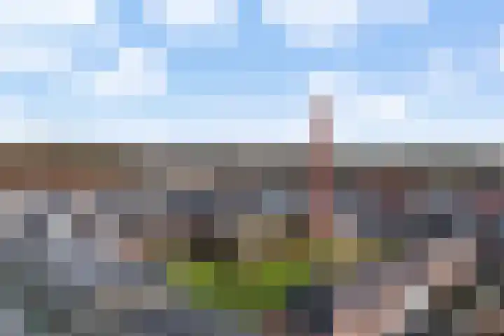 Enkalaan 47 Ede thumbnail 17