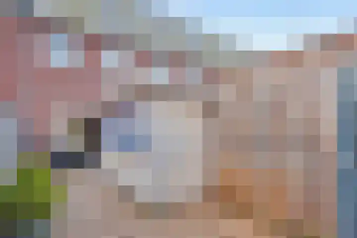 Enkalaan 47 Ede thumbnail 20