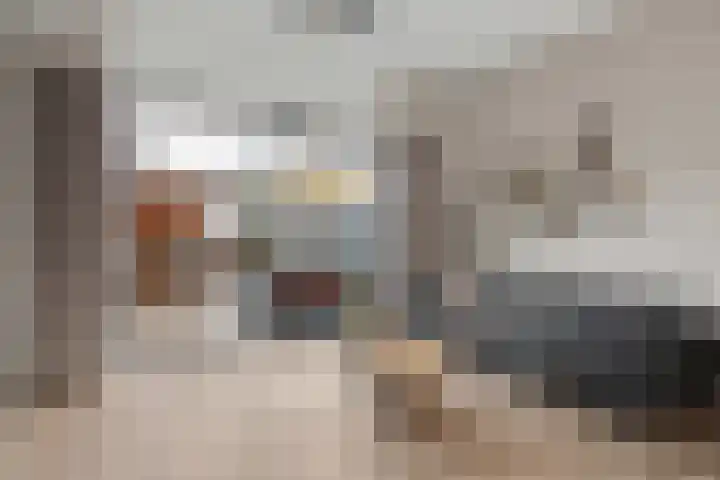 Enkalaan 47 Ede thumbnail 4