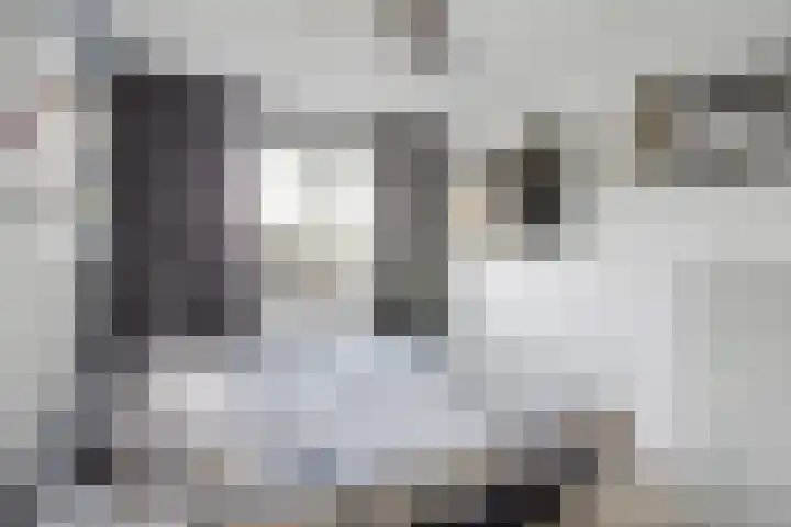 Enkalaan 47 Ede thumbnail 7