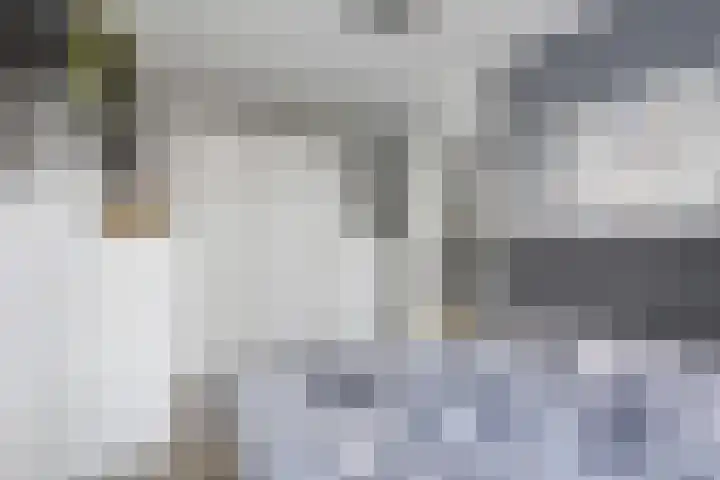 Enkalaan 47 Ede thumbnail 8