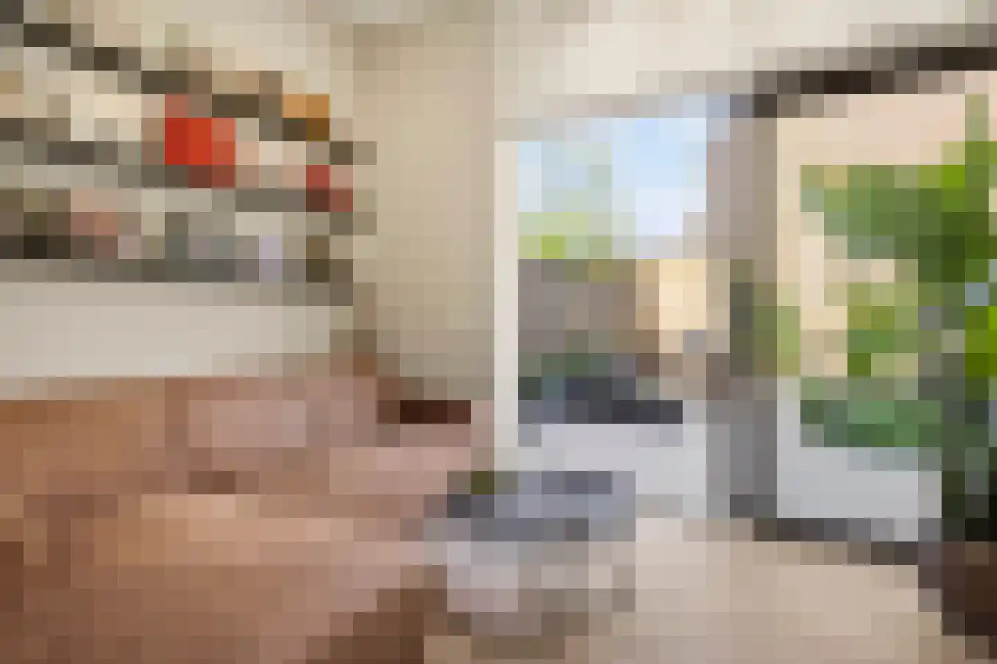 Enkalaan 55 Ede thumbnail 12